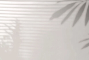 百叶窗下的植物光影