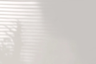 百叶窗后的朦胧光影