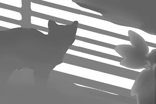 光影中猫咪的神秘身影