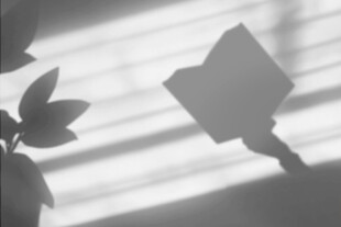 手捧书卷映光影