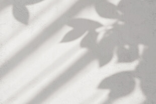 树叶光影投影墙面美景