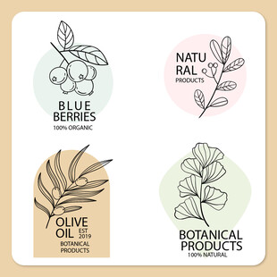 植物主题简约插画设计