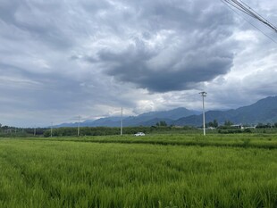 绿野云天间的田园风光