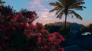 夕阳下的繁花与棕榈树