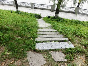 石板小径穿入绿意之中