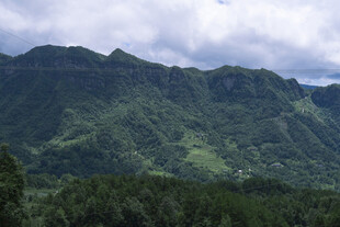 翠绿山峦云雾缭绕美景