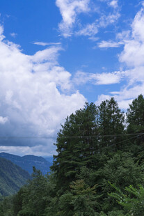 蓝天白云下的茂密山林