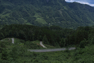 山间蜿蜒公路 绿意盎然