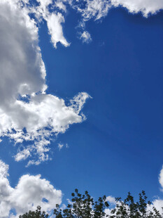 蓝天绿树间的白云美景