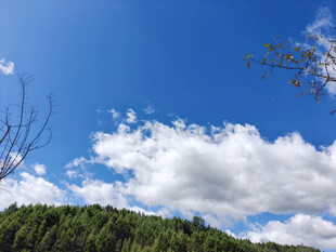 蓝天白云下的葱郁山林