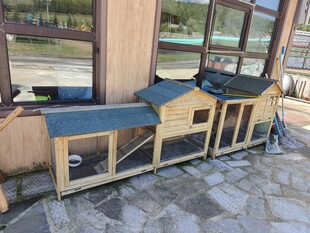 户外木质宠物屋组合