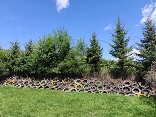 草地旁的轮胎与树木景观