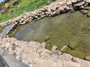 石砌池塘中的清澈绿水