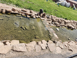 石砌岸边的清澈小水池