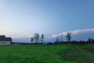 广袤绿野旁的宁静屋舍