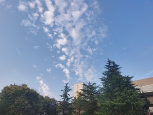 蓝天绿树间的云景