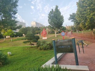 公园内的休闲景观