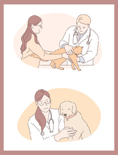 兽医为宠物进行检查