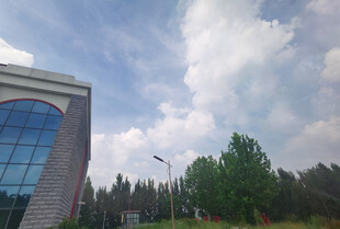 现代建筑旁的绿树与蓝天