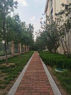小区内的红砖林荫小道