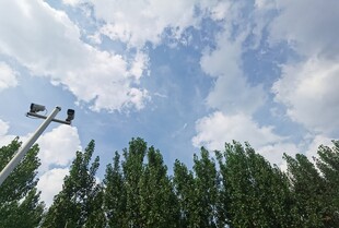 蓝天绿树间的路灯