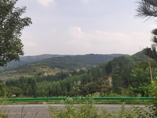 山间绿意盎然的自然风光