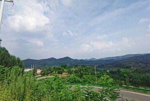 乡村公路旁的绿意风光