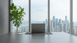 窗边办公场景绿植相伴