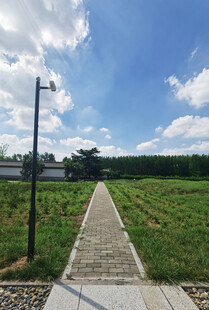 乡间小道蓝天白云绿地