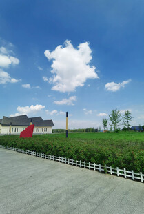 乡村公路旁的开阔田园风光