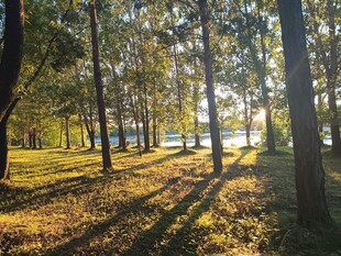 秋日林间光影美景