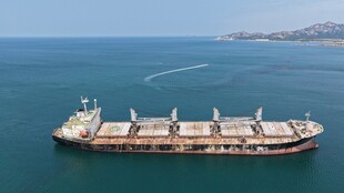 威海布鲁维斯号