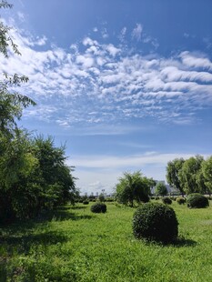 田园绿野间的悠然景致