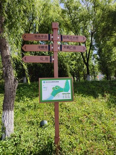 森林中的方向指示路标