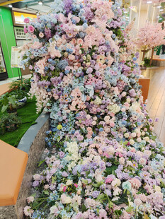 梦幻多彩花卉装饰景观