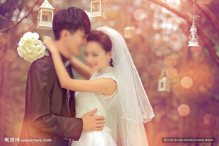 婚礼素材 婚纱效果 肌理朦胧感