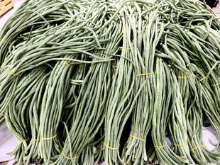 新鲜长豆角堆成小山