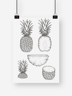 手绘菠萝图案插画