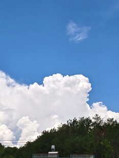 蓝天白云下的葱郁山林