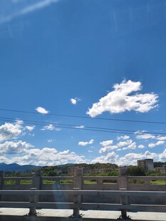 蓝天白云下的开阔风景