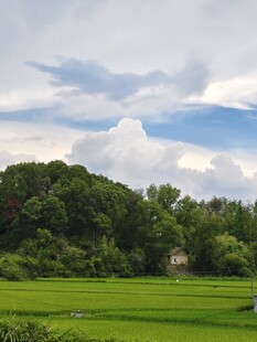 田园绿野间风光