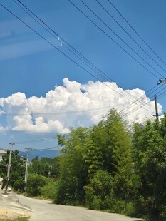 乡村公路边的蓝天白云绿树