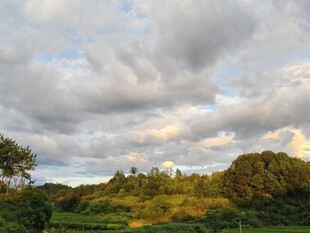 黄昏下的绿野与天空