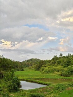 田园风光