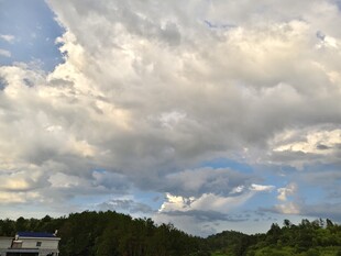 蓝天白云下的绿意景致