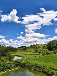 田园风光 绿水蓝天白云