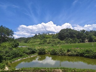 田园山水间的静谧池塘
