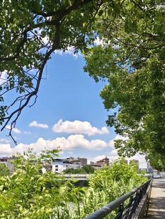 绿荫下的河畔步道