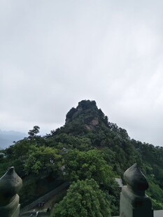 山巅绿意盎然的自然景致