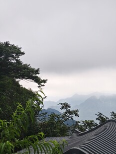 云雾缭绕的山林屋顶景致